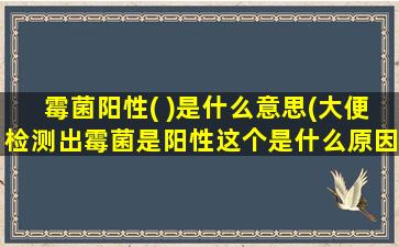 霉菌阳性( )是什么意思(大便检测出霉菌是阳性这个是什么原因导致的)